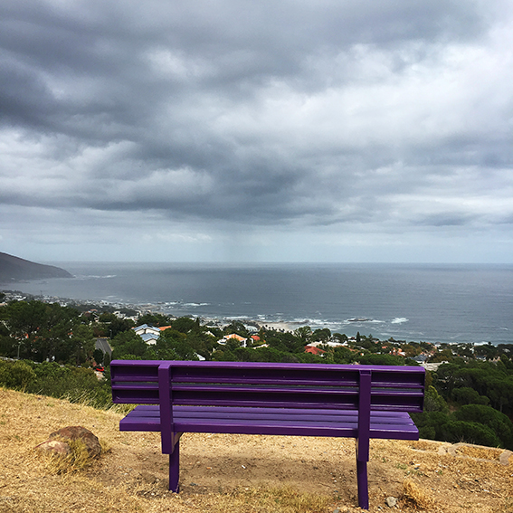 Purple Bench low res
